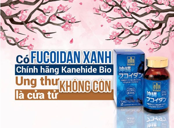 Câu hỏi và thắc mắc thường gặp về Fucoidan Xanh