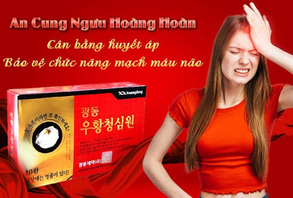 Công Dụng Của An Cung Ngưu Tổ Kén Kwangdong