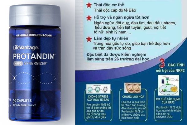 Công dụng của protandim