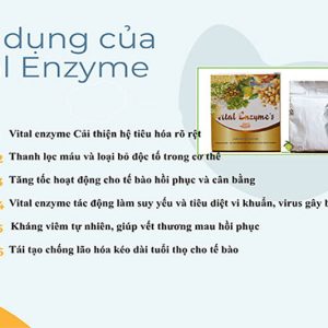 Tác dụng Hướng của vital enzyme