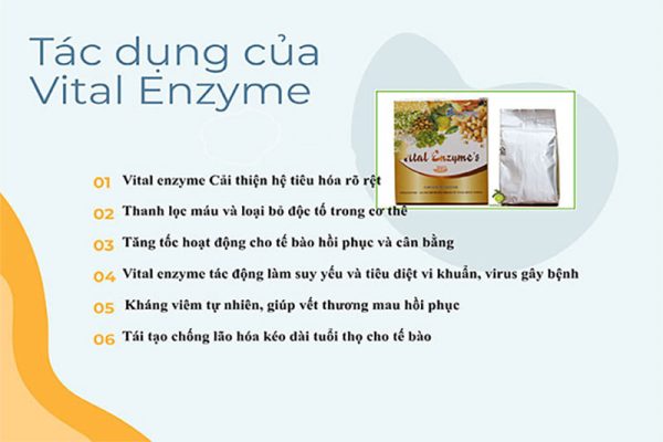 Tác dụng Hướng của vital enzyme
