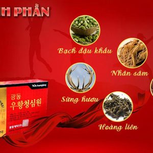 Thành Phần Của An Cung Ngưu Tổ Kén Kwangdong