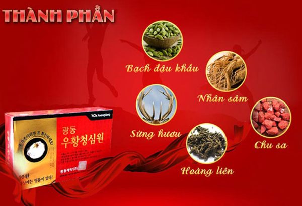 Thành Phần Của An Cung Ngưu Tổ Kén Kwangdong