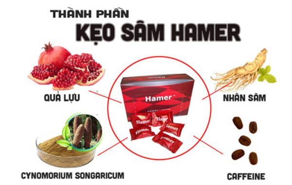 Thành Phần Của Kẹo Sâm Hamer