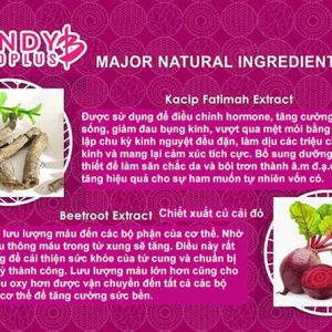 Thành Phần Của Kẹo Sâm Miss Candy B
