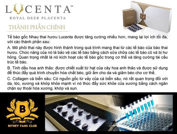 Thành phần của Nhau Thai Hươu Lucenta