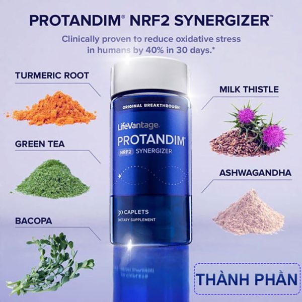 Thành phần protandim