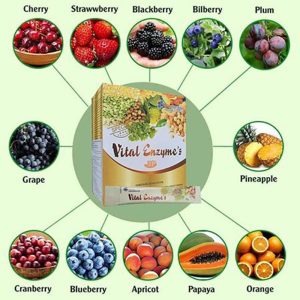 Thành phần của vital enzyme