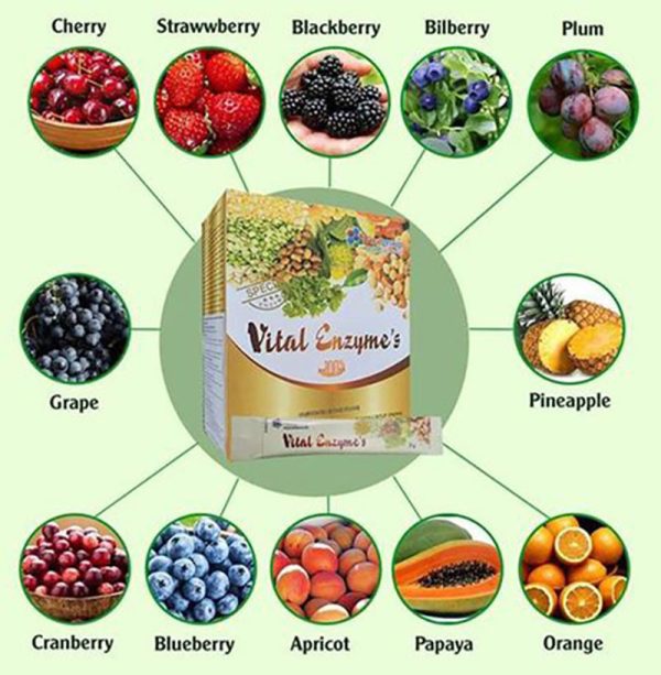 Thành phần của vital enzyme